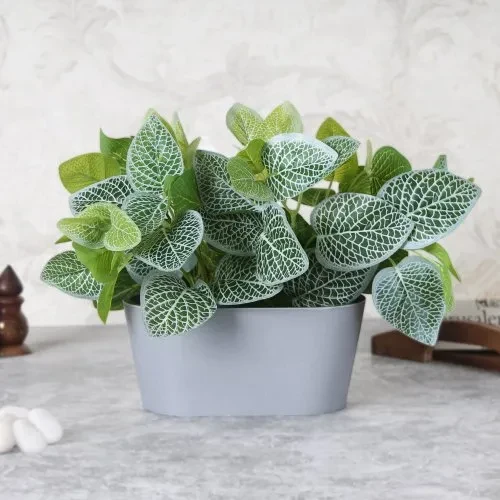 Decoration Artificial Plant Bush in Tray