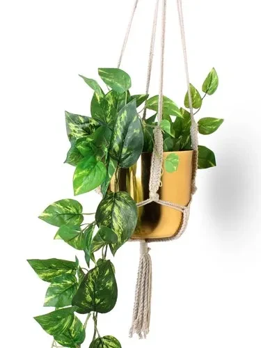 Wall Hanging Foliage Artificial Money Plant