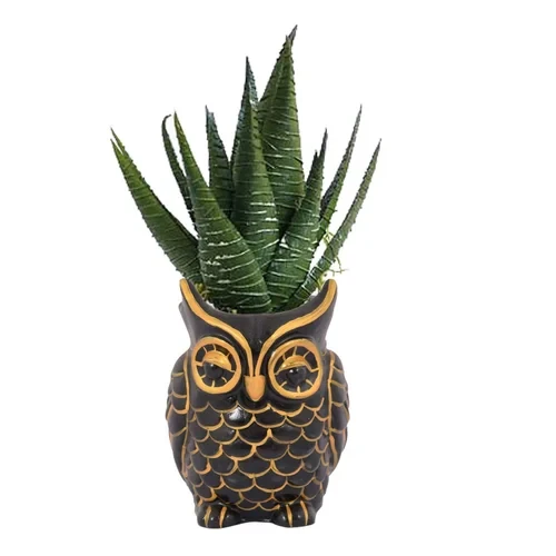The Decorshed Polyresin Decorative Owl Planter for Home/Office and Outdoor- Brow