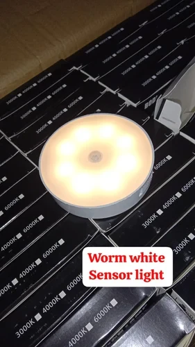 Motion Sensor Light